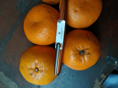 Aero Orange from Diplomat 